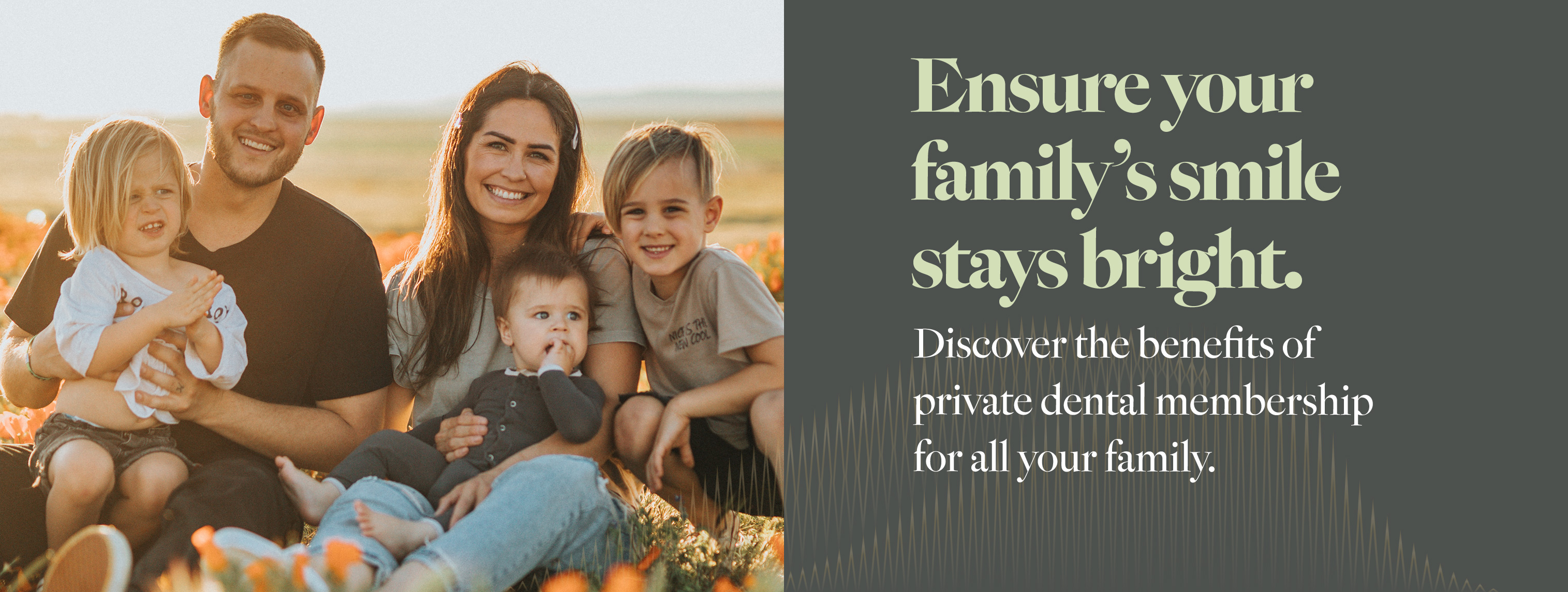 Slemish Dental Care and Aesthetics